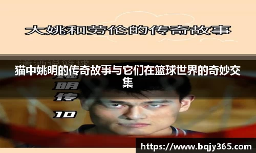 利记sbobet