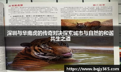 深圳与华南虎的传奇对决探索城市与自然的和谐共生之道